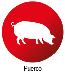 ico-puerco